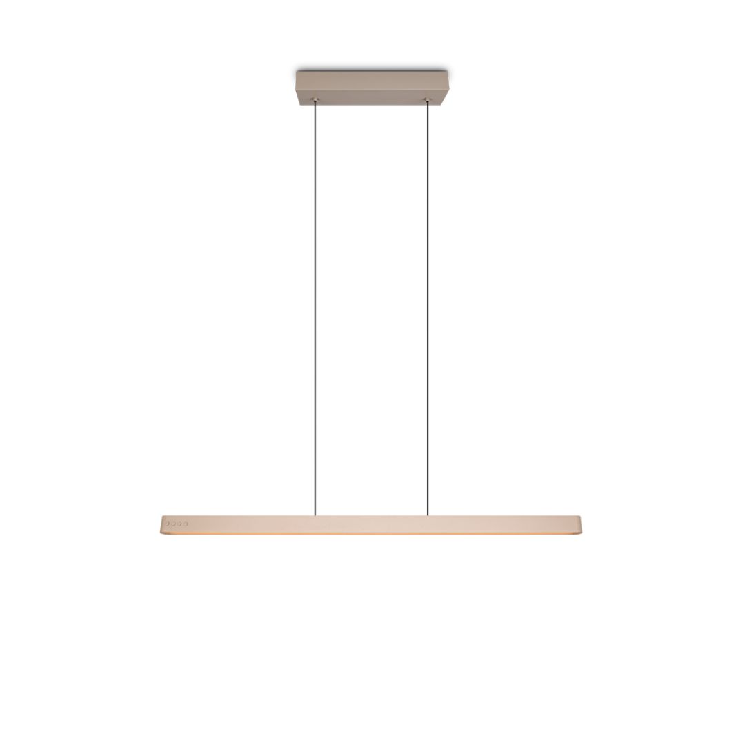 333310243.1